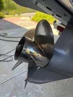 IMG_3097.jpeg
