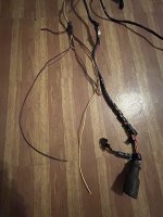 IMG_1481.jpeg