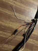 IMG_1483.jpeg
