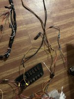 IMG_1484.jpeg
