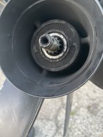 IMG_0989.jpeg