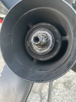IMG_0991.jpeg