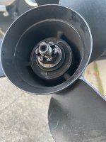 IMG_0992.jpeg