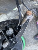 IMG_8079.jpeg