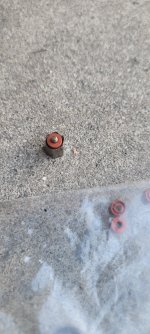 20230807_171249.jpg