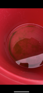 EBDB9258-835B-45D4-BE34-4A798B2E86D4.png