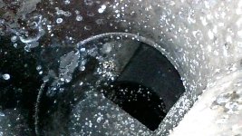 IMG_6488.jpeg