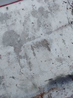 20230906_192402_5bfb0245243c9a9c41ad670da3aed7d69d692fee.jpg
