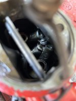 IMG_8310.jpeg