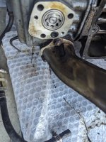 PXL_20230930_235427082.jpg