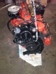 IMG00080-20100116-1621.jpg