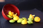 SunburstSquash-MelissaHom.jpg
