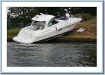 SeaRay.jpg