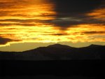IMG_0993.jpg