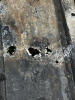 IMG_2448.jpeg