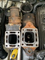 IMG_7242.jpeg