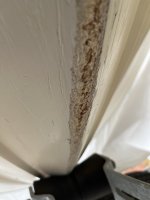 IMG_8917.jpeg