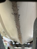 IMG_8916.jpeg