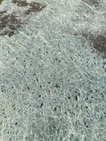 IMG_5434.jpeg