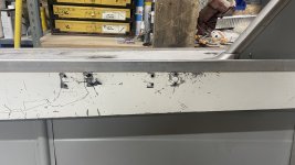 IMG_2983.jpeg