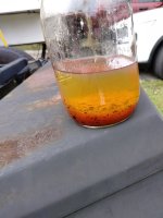 IMG_20231213_112836661.jpg
