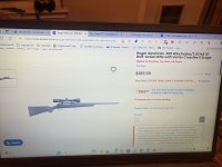 IMG_8421.jpeg