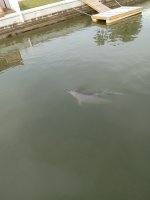 20240122_102451.jpg