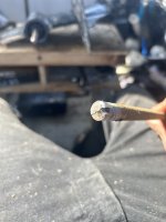 IMG_0106.jpeg