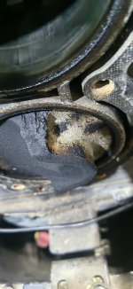IMG_20240130_190652.jpg