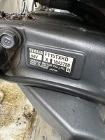 IMG_8223.jpeg