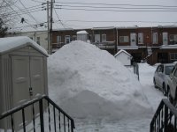 backyard  march 2008.jpg