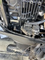 IMG_7750.jpeg