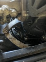 IMG_7749.jpeg