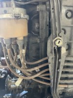 IMG_7744.jpeg