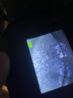 IMG_7831.jpeg