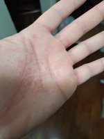 Left Palm.jpg