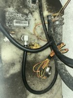 IMG_5565.jpeg
