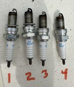 Plugs1.jpg