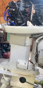 IMG_6739.jpeg