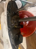 IMG_2024-06-09-102158.jpeg