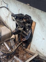 IMG_8786.jpeg