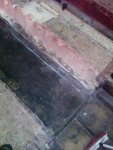 IMG00115-20100214-1650.jpg