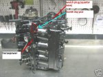 6f5d_1.jpg