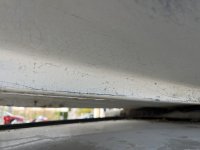 IMG_9782.jpeg
