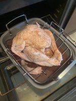IMG_2005.jpeg