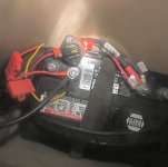 IMG_2101.jpeg