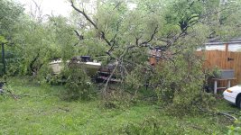20170505_073043.jpg