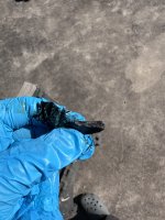 IMG_1827.jpeg
