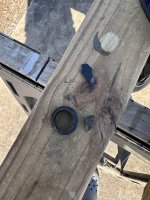 IMG_1824.jpeg