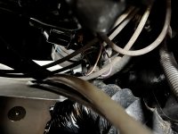 IMG_0589.jpeg